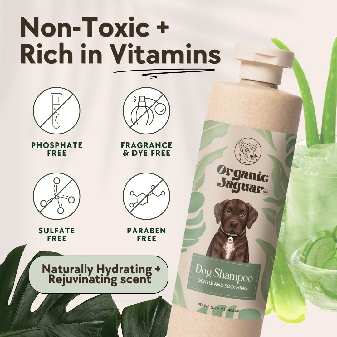 Dog Shampoo