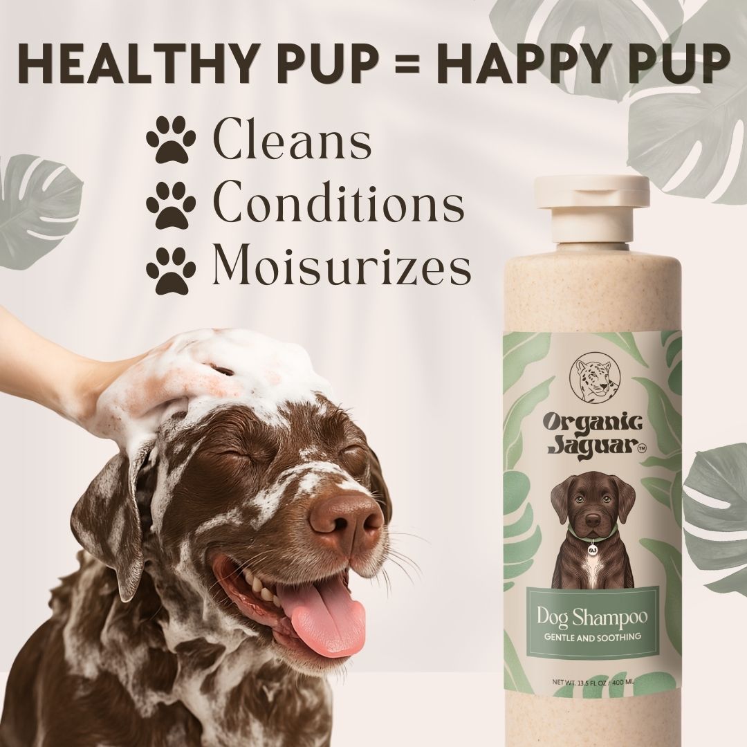 Dog Shampoo