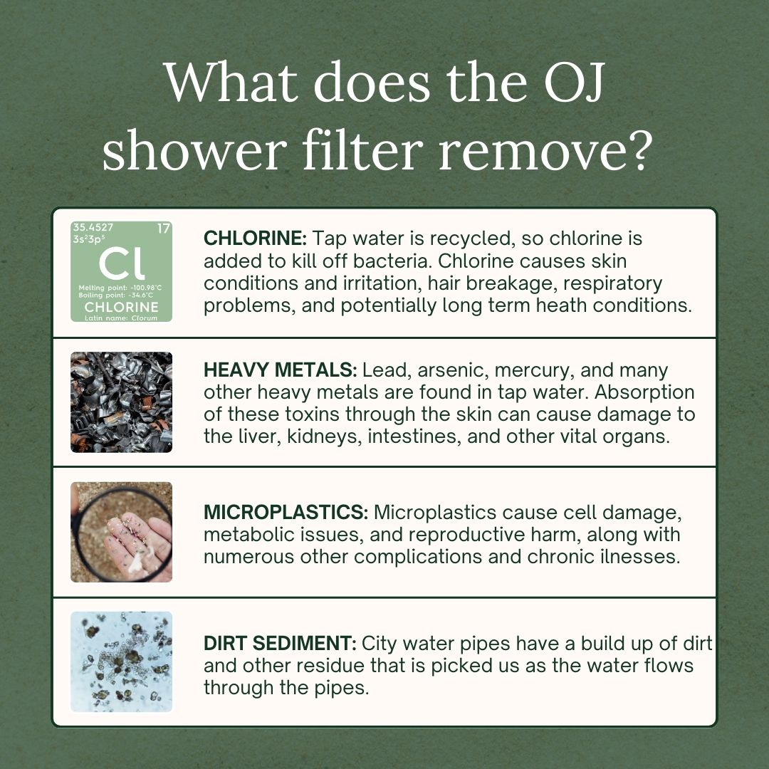 Shower Filter