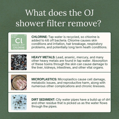 Shower Filter
