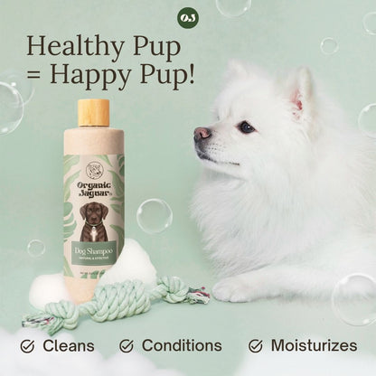 Dog Shampoo