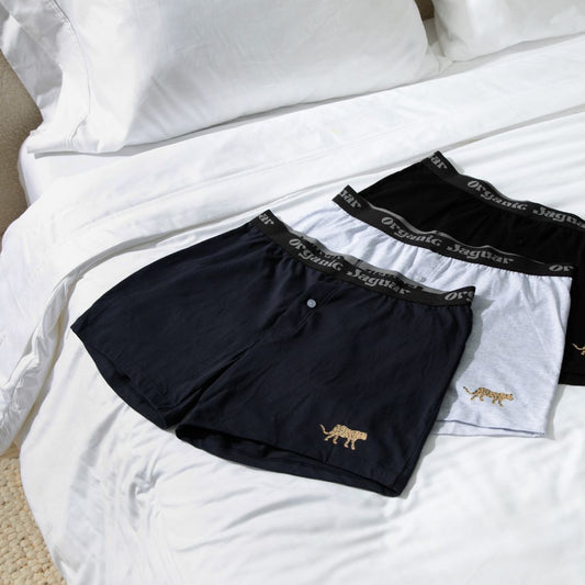 Organic Cotton Boxers (3 pack)