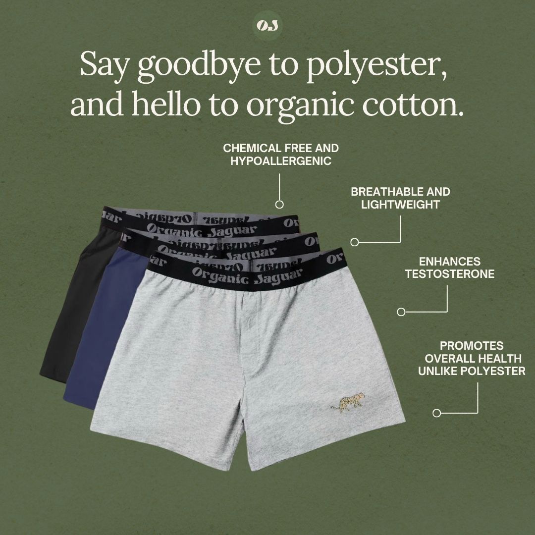 Organic Cotton Boxers (3 pack)