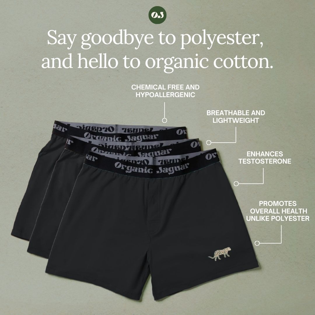 Organic Cotton Boxers (3 pack)