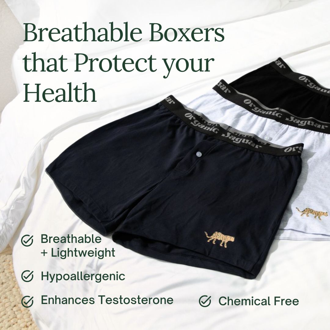 Organic Cotton Boxers (3 pack)