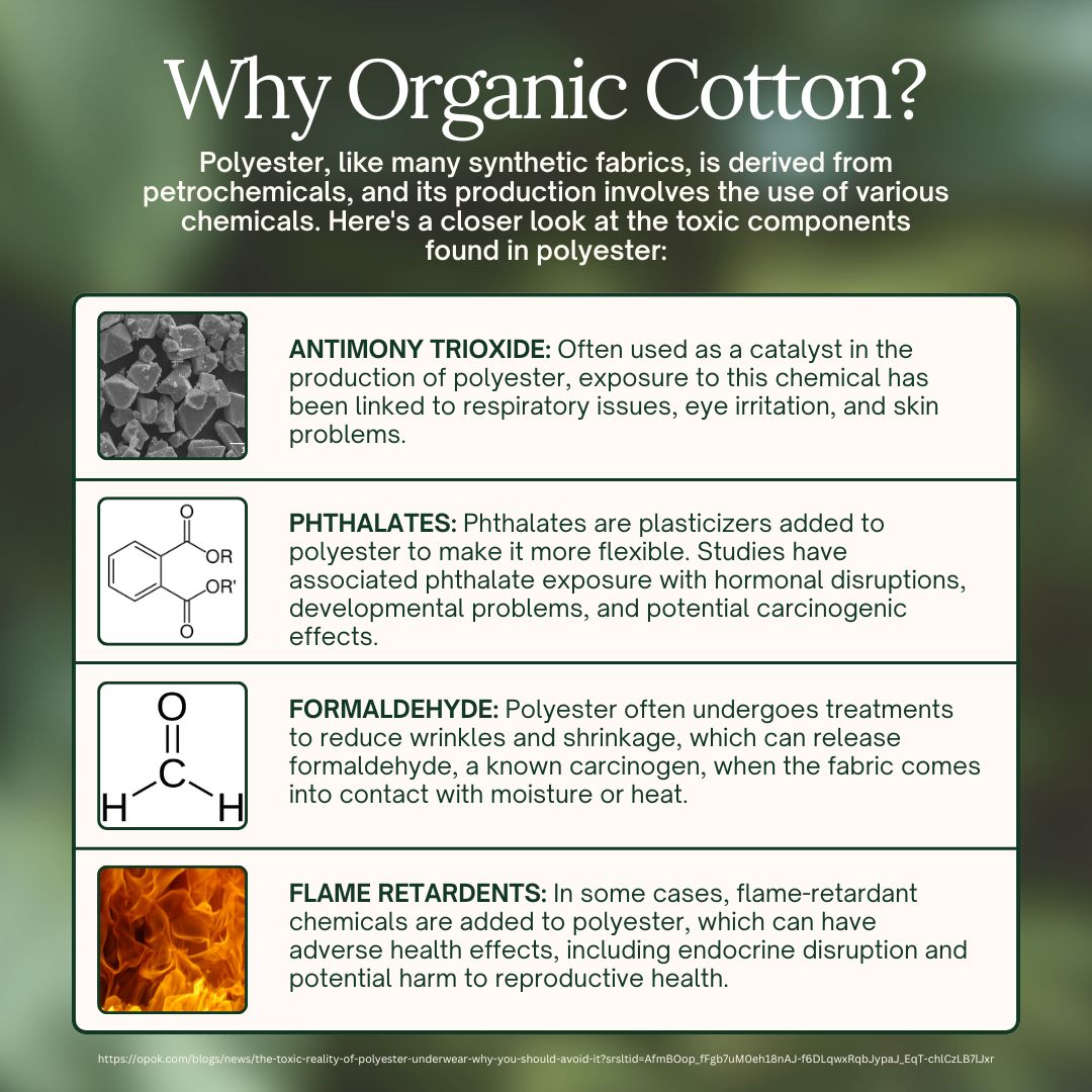 Organic Cotton Boxers (3 pack)