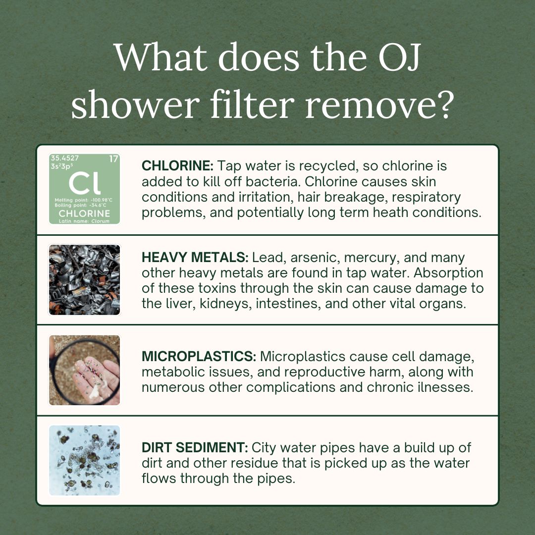 Shower Filter