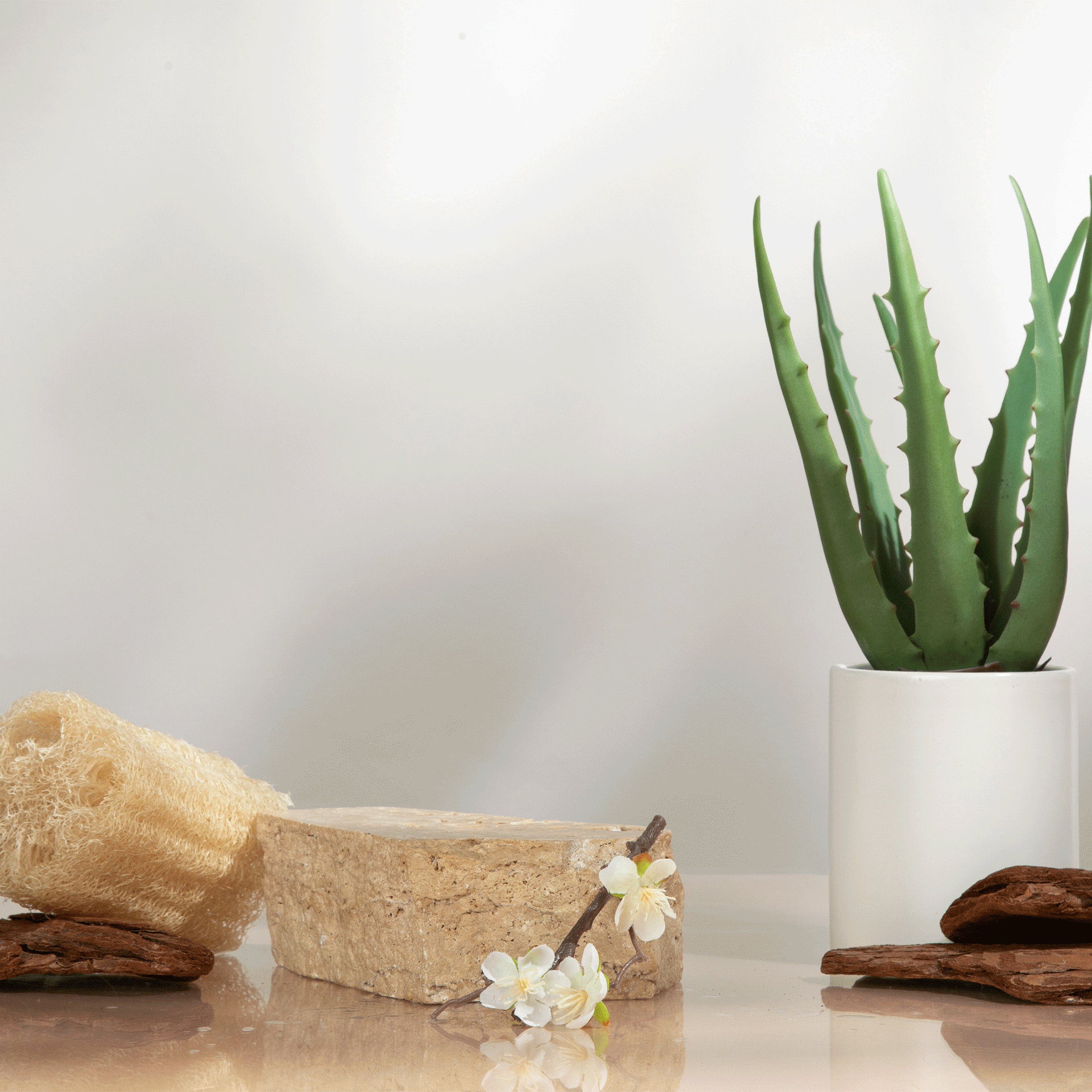 Ultimate Soap Bundle - Shampoo, Conditioner, Body Wash - Toxin