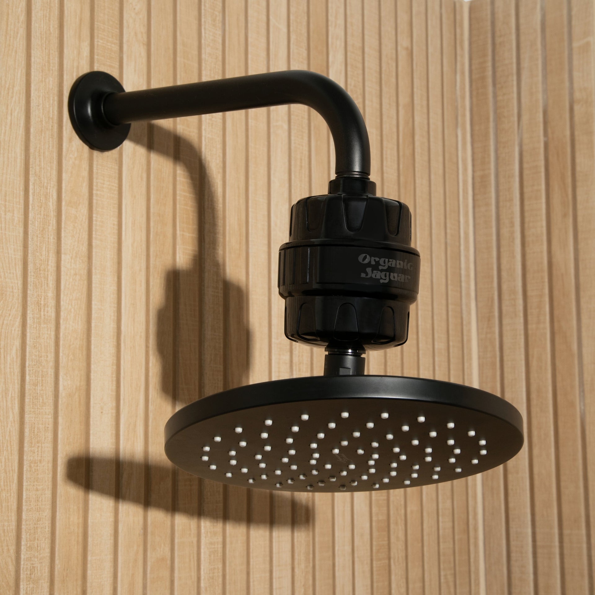 Shower Filter - Chrome